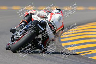 media/Oct-08-2022-SoCal Trackdays (Sat) [[1fc3beec89]]/Turn 11 Backside (1145am)/